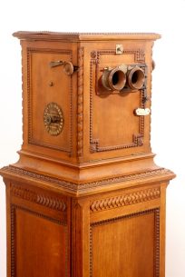 Taxiphote Richard. (2)